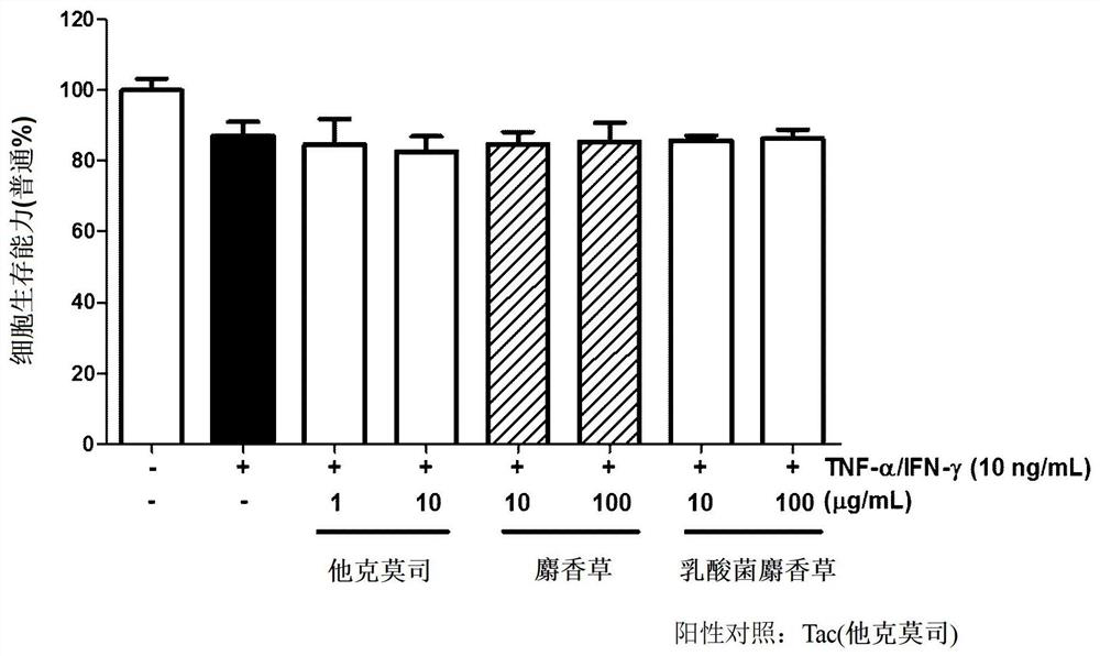 Composition for improving atopic dermatitis and skin wrinkles, containing lactobacillus-fermented thyme extract as active ingredient