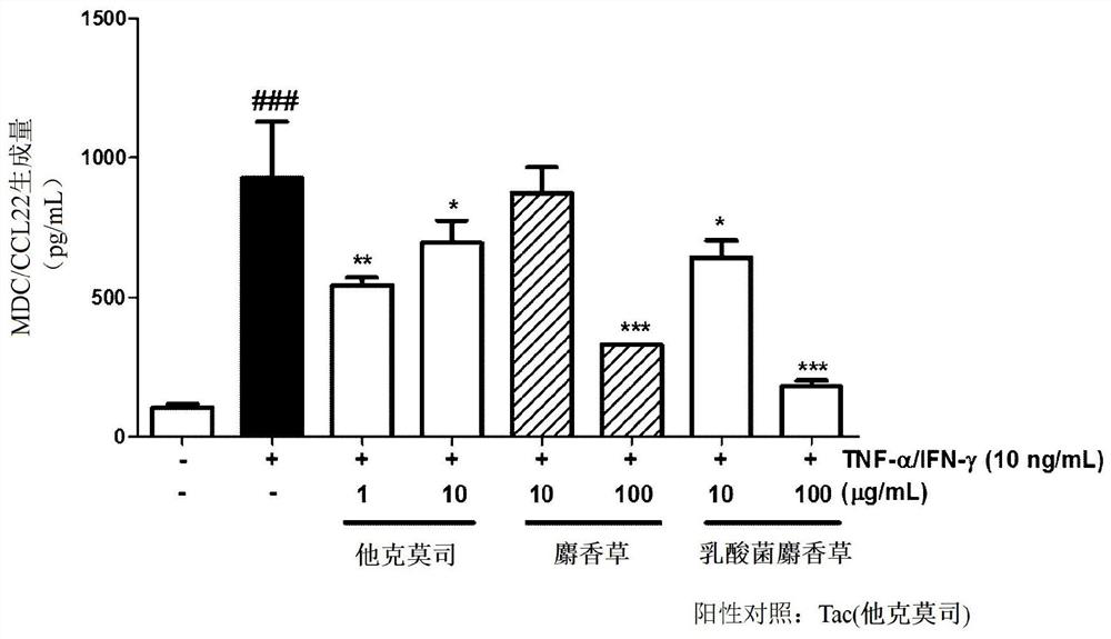 Composition for improving atopic dermatitis and skin wrinkles, containing lactobacillus-fermented thyme extract as active ingredient
