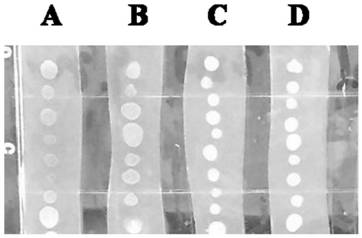 Quorum sensing signaling molecule degradation gene aidf, application thereof, catabolic enzyme AidF coded by quorum sensing signaling molecule degradation gene aidf and application of catabolic enzyme AidF