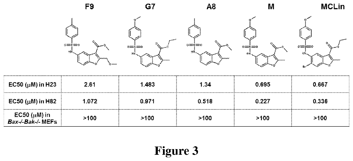 Phenylsulfonamido-benzofuran derivatives and uses thereof in the treatment of proliferative diseases