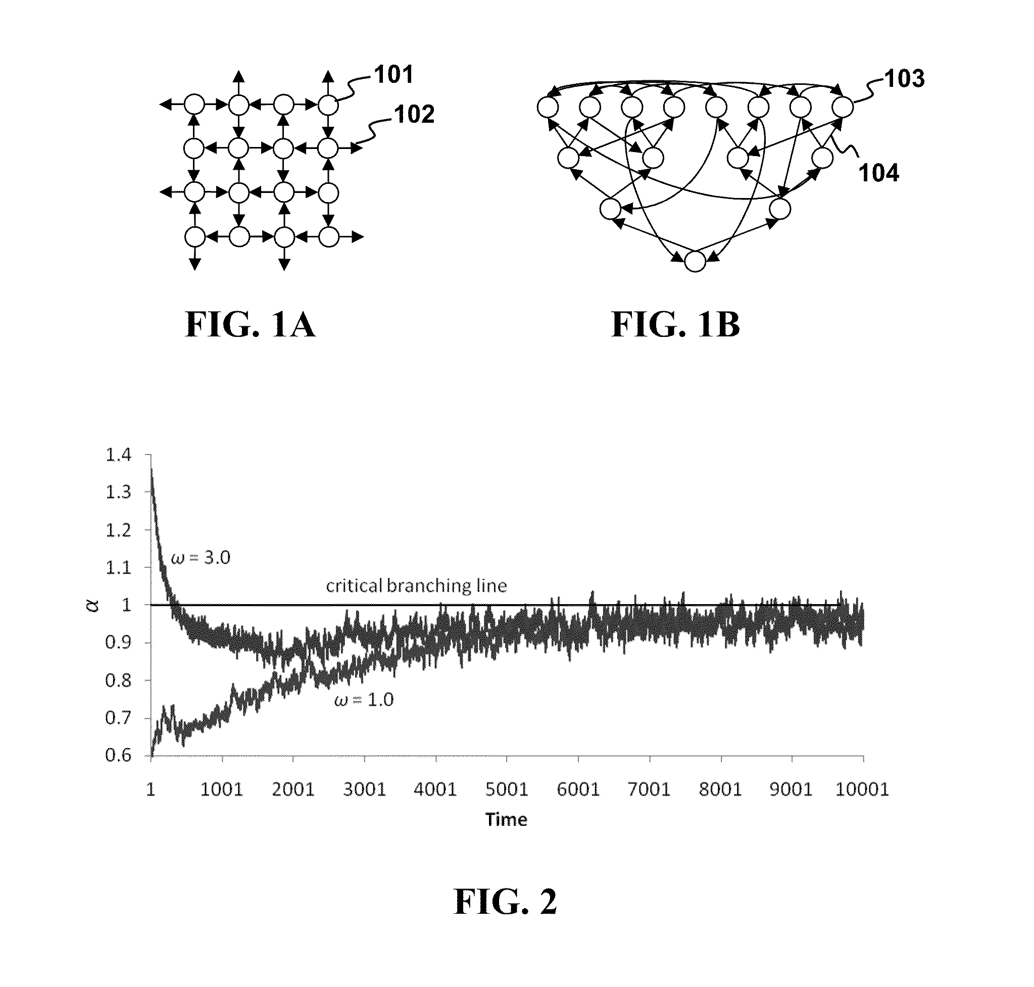 Critical Branching Neural Computation Apparatus and Methods