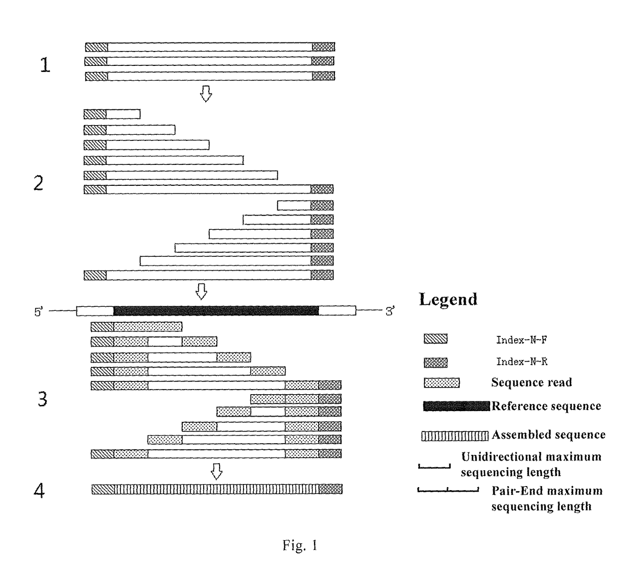 Application of a PCR sequencing method, based on DNA barcoding technique and DNA incomplete shearing strategy, in HLA genotyping