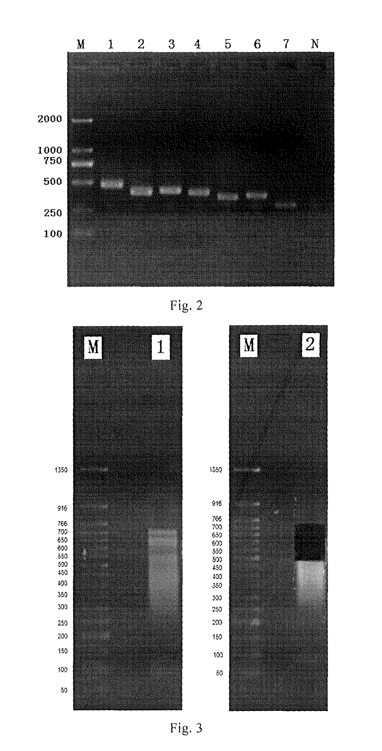 Application of a PCR sequencing method, based on DNA barcoding technique and DNA incomplete shearing strategy, in HLA genotyping