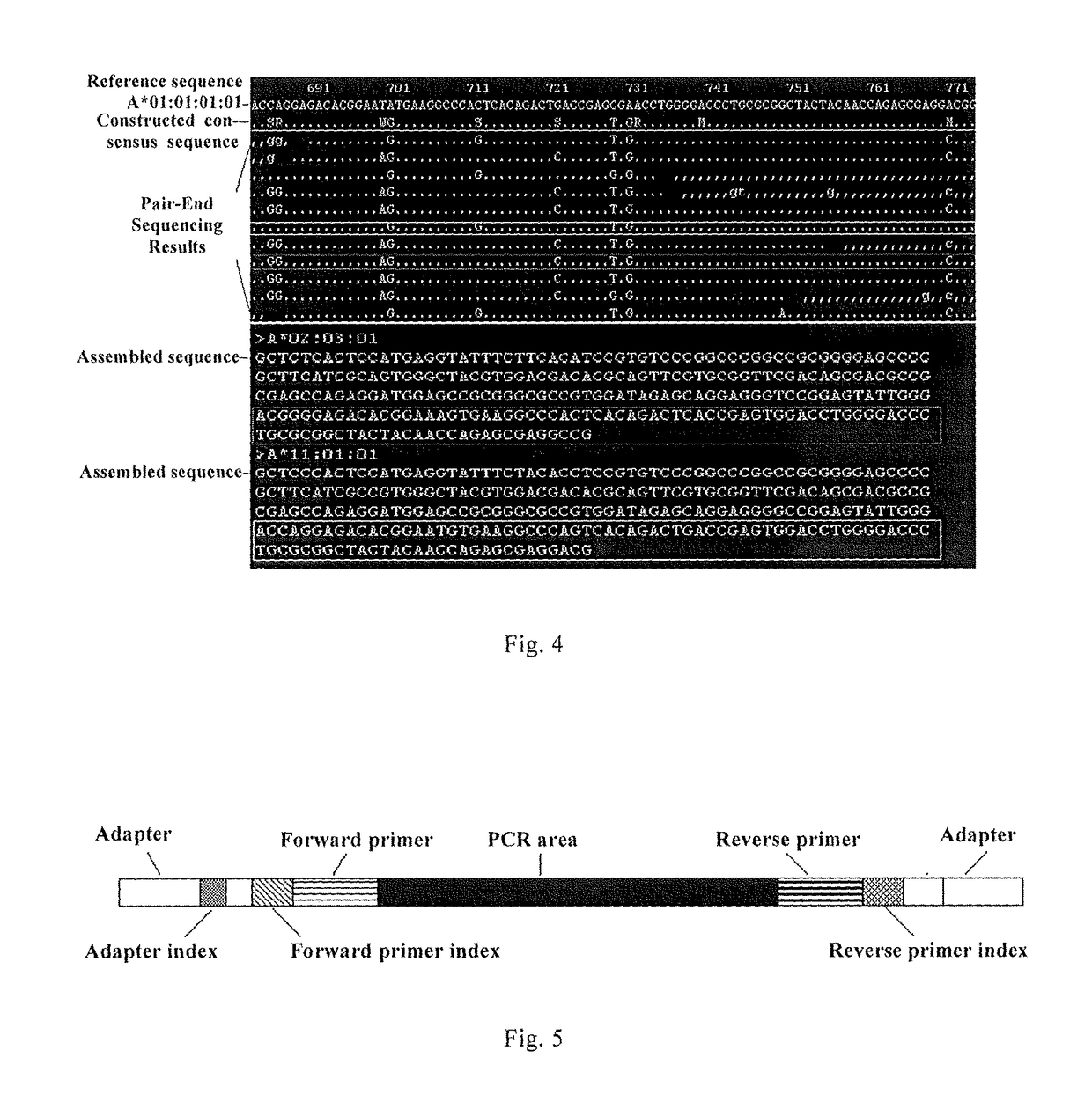 Application of a PCR sequencing method, based on DNA barcoding technique and DNA incomplete shearing strategy, in HLA genotyping