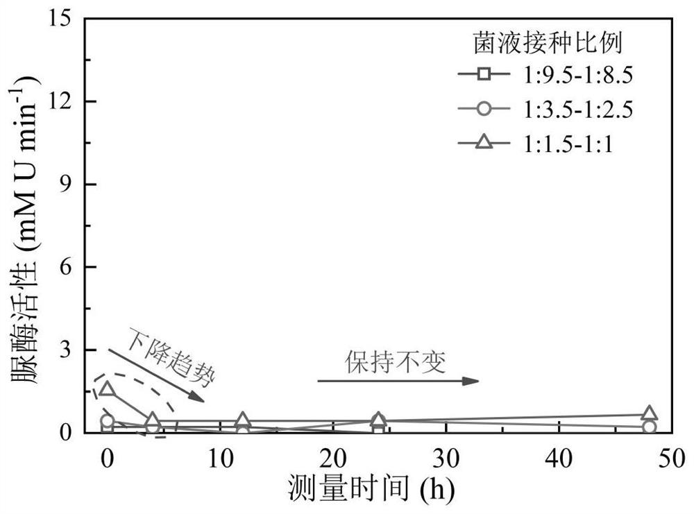 Method for determining scheme for biomineralization treatment of copper-containing wastewater and wastewater treatment method