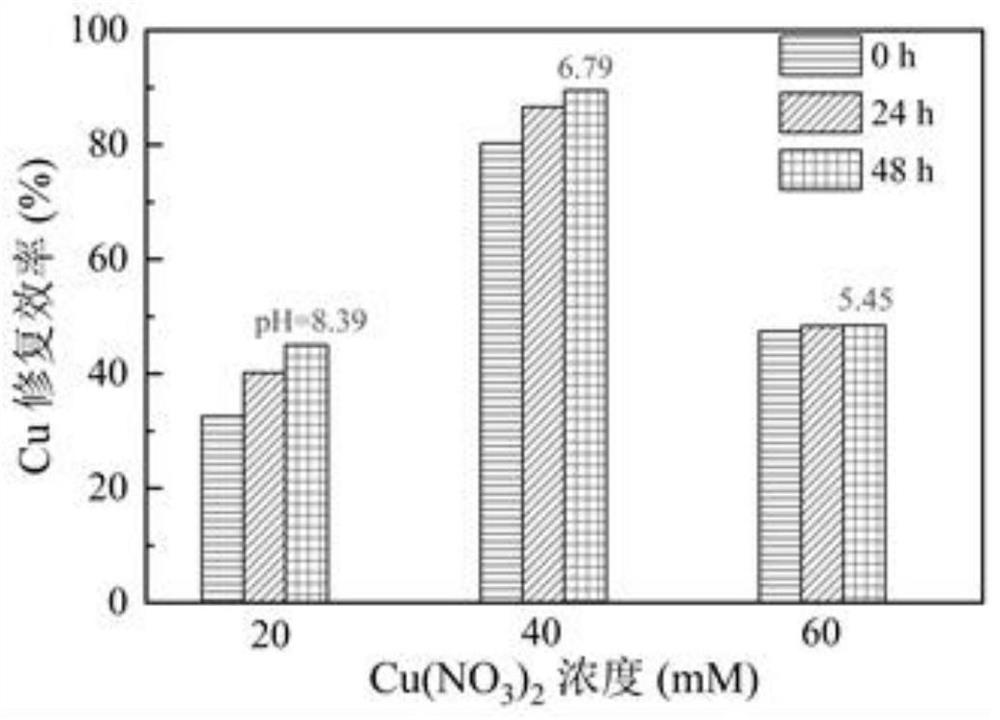 Method for determining scheme for biomineralization treatment of copper-containing wastewater and wastewater treatment method