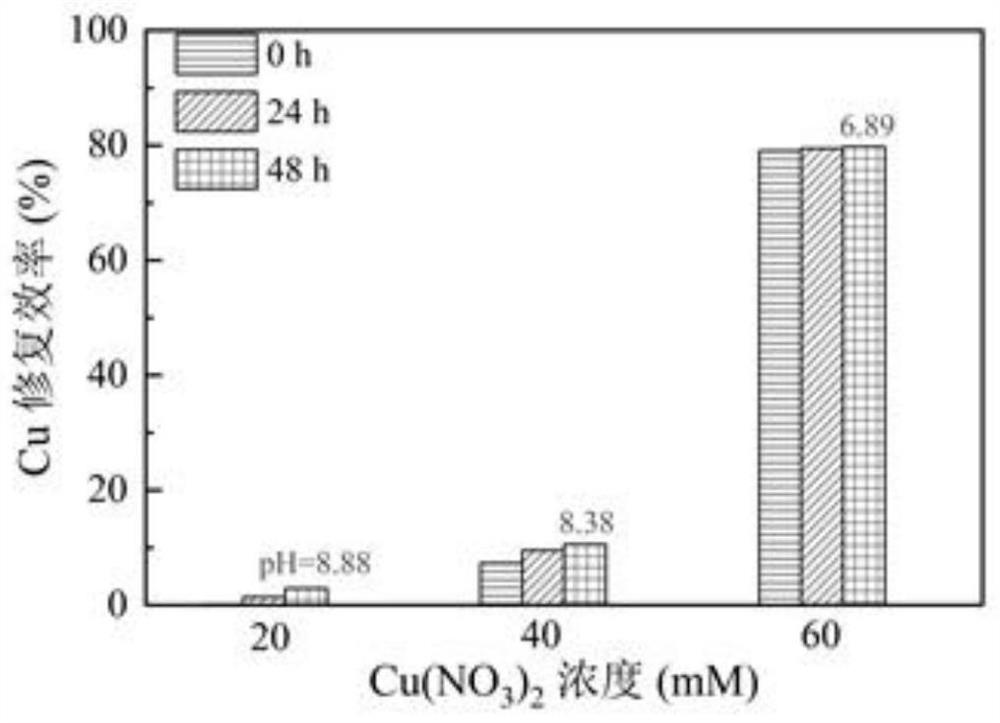 Method for determining scheme for biomineralization treatment of copper-containing wastewater and wastewater treatment method