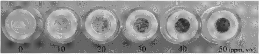 Detection test paper for content of micro-water in aviation fuel and preparation method of detection test paper