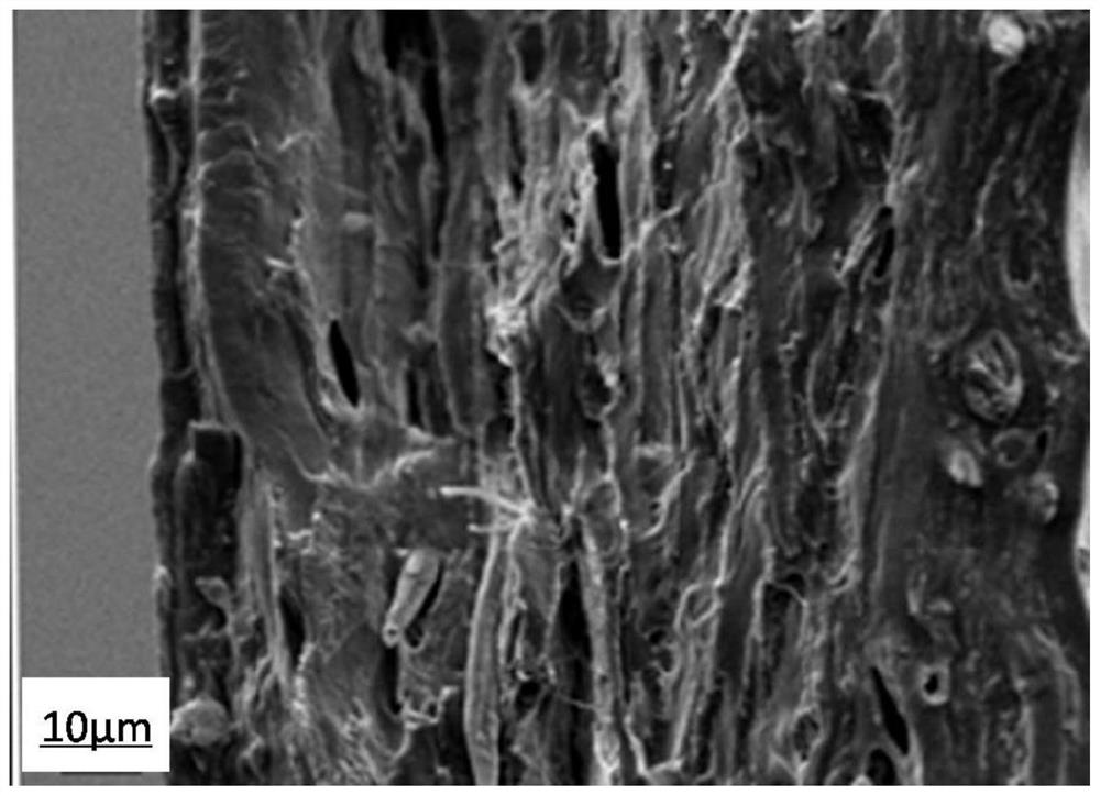 Method for preparing human dura mater repair material with simulated ECM (Extracellular Matrix) component and structure through long fiber network skeleton preforming process