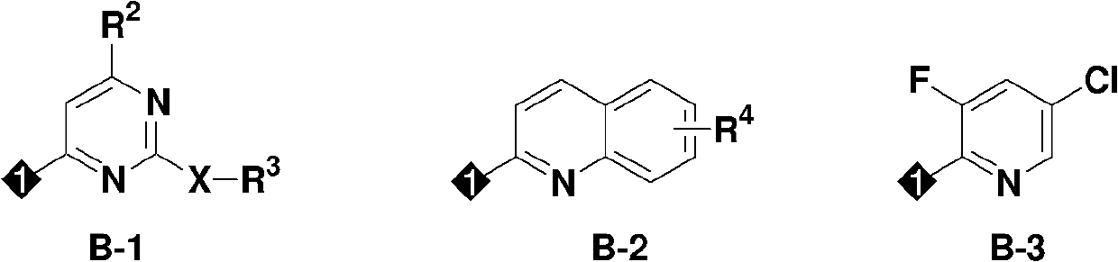 Insecticidal Oxime Ether Dichloroallyl Ether Compounds