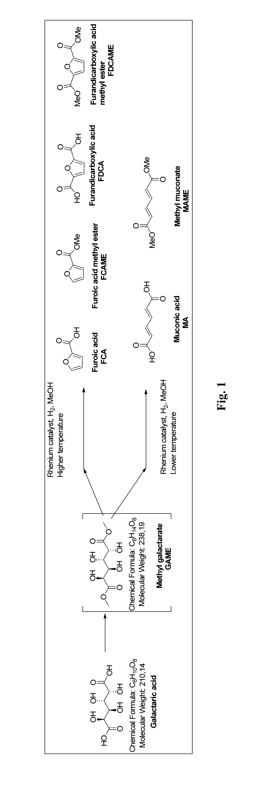 Method for producing muconic acids and furans from aldaric acids
