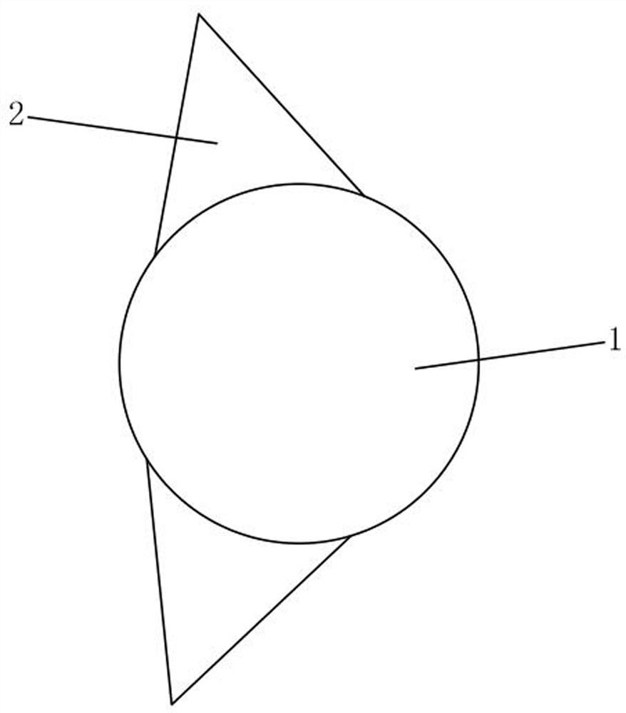 Irregular tree hole based on regional wind rose diagram