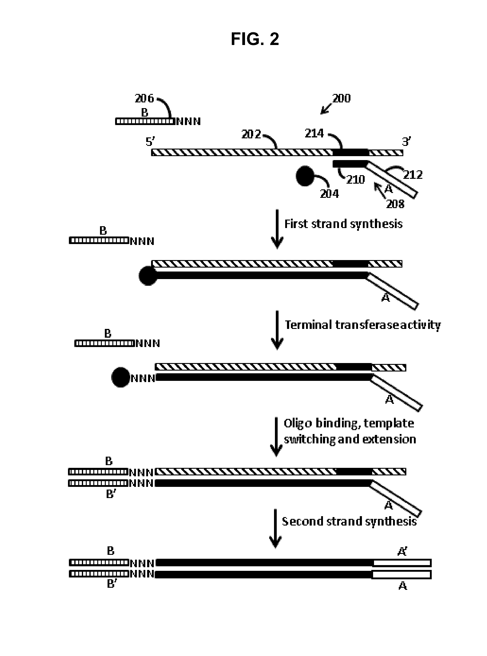 Methods for adding adapters to nucleic acids and compositions for practicing the same