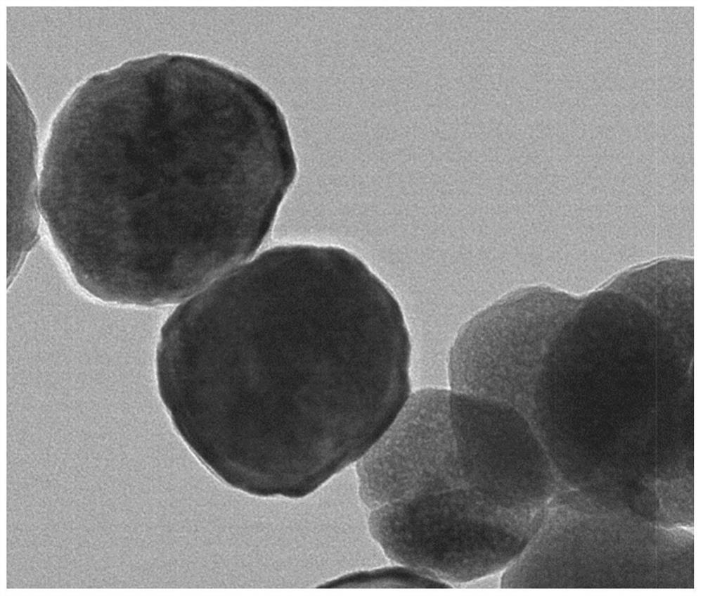 Magnetic core-shell nano-microsphere for adsorbing phenolic pollutants as well as preparation method and application