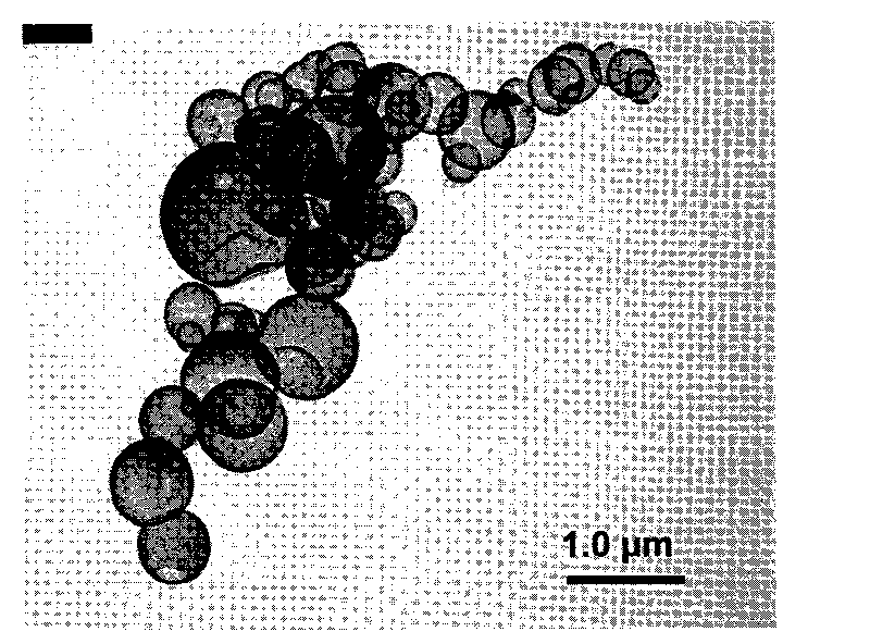 Hollow microsphere with superparamagetism Fe3O4 nanocrystallines and preparation method thereof