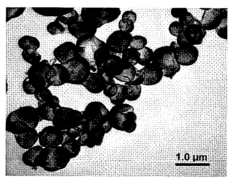 Hollow microsphere with superparamagetism Fe3O4 nanocrystallines and preparation method thereof