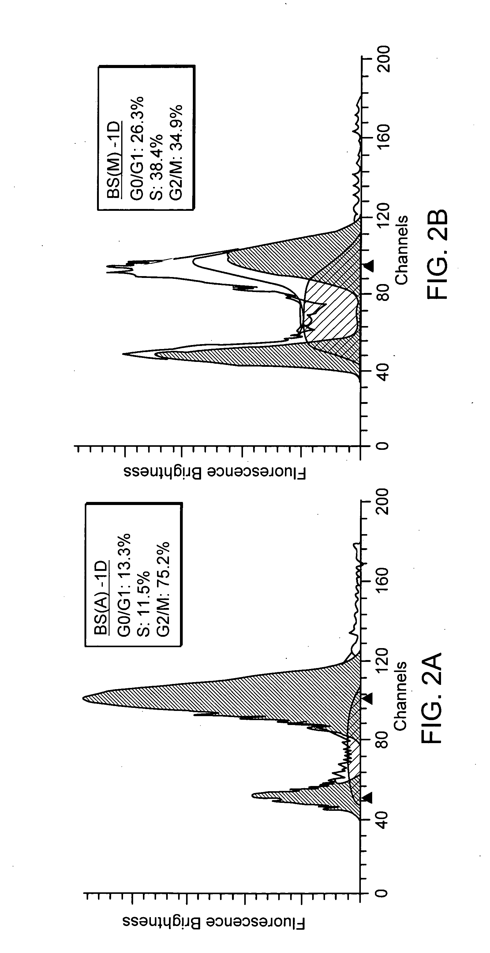 Method for extracting antineoplastic components from Bupleurum scorzonerifolium