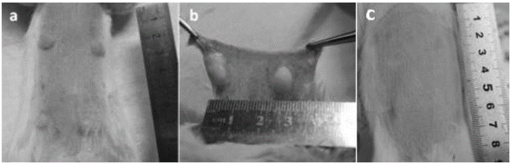 Method for preparing silk fibroin nanosphere