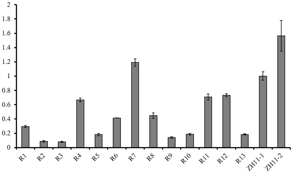 Genes, proteins, gene expression cassettes, expression vectors, host cells, methods and applications for controlling rice flowering time