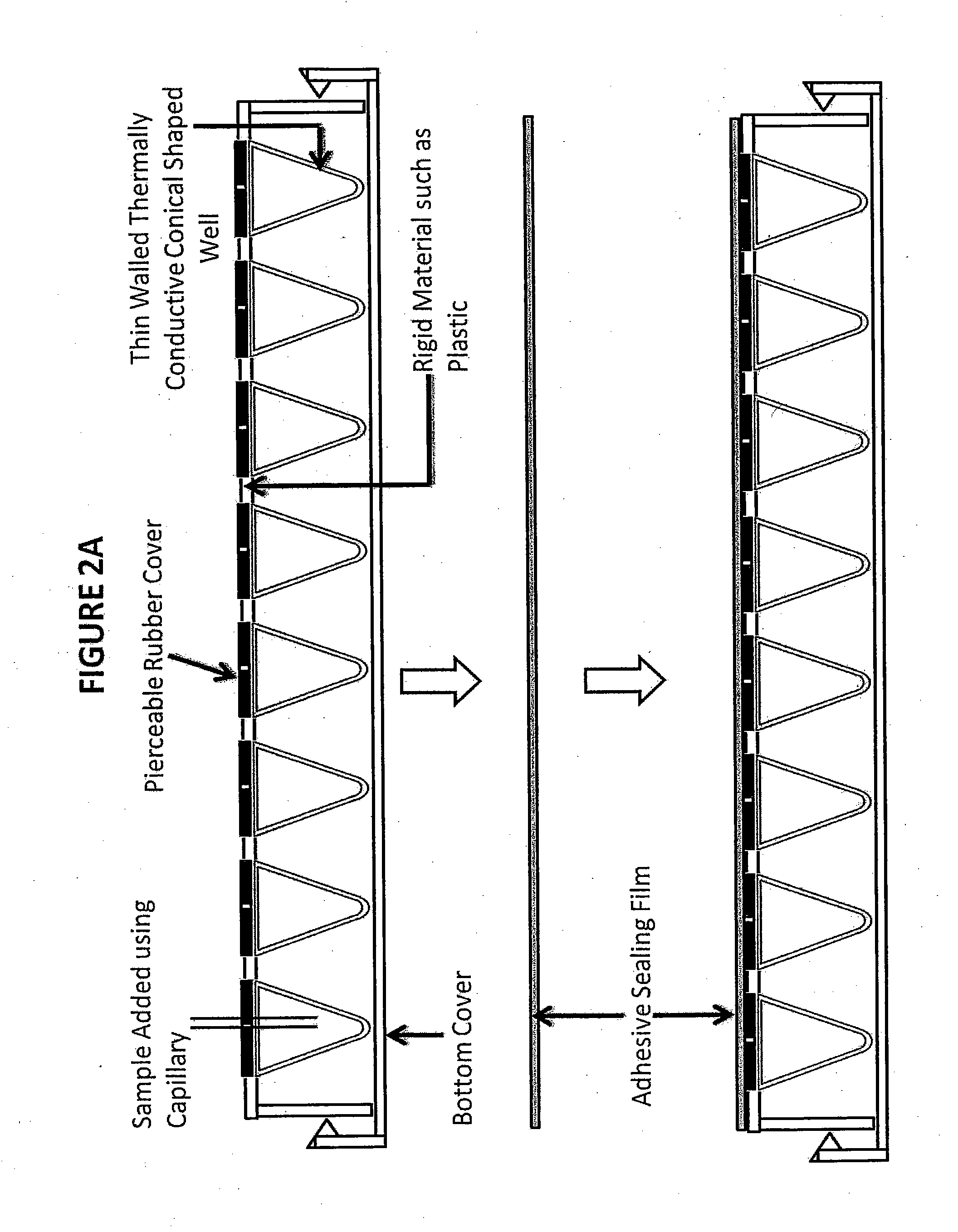 Methods and devices for collecting samples in a high throughput format