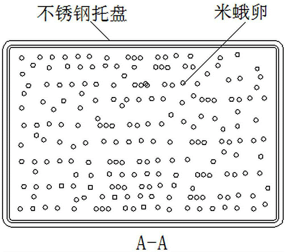 Rice moth egg double-sided embryo killing method