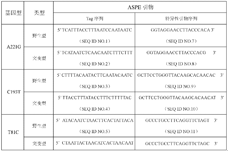 CYP17A1 (Cytochrome P450) genetic polymorphism detection specific primer and liquid-phase chip