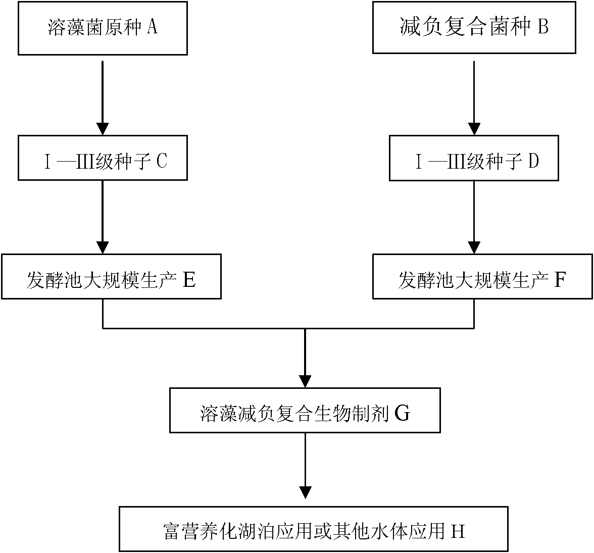 Preparation method of alga-lysing burden-alleviating compound biological agent