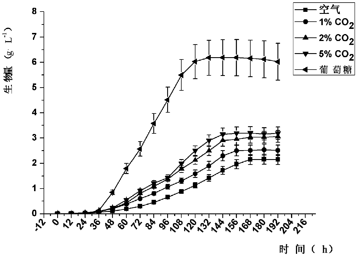 Fresh water chlorella showing heterotrophic growth characteristics with high-concentration CO2