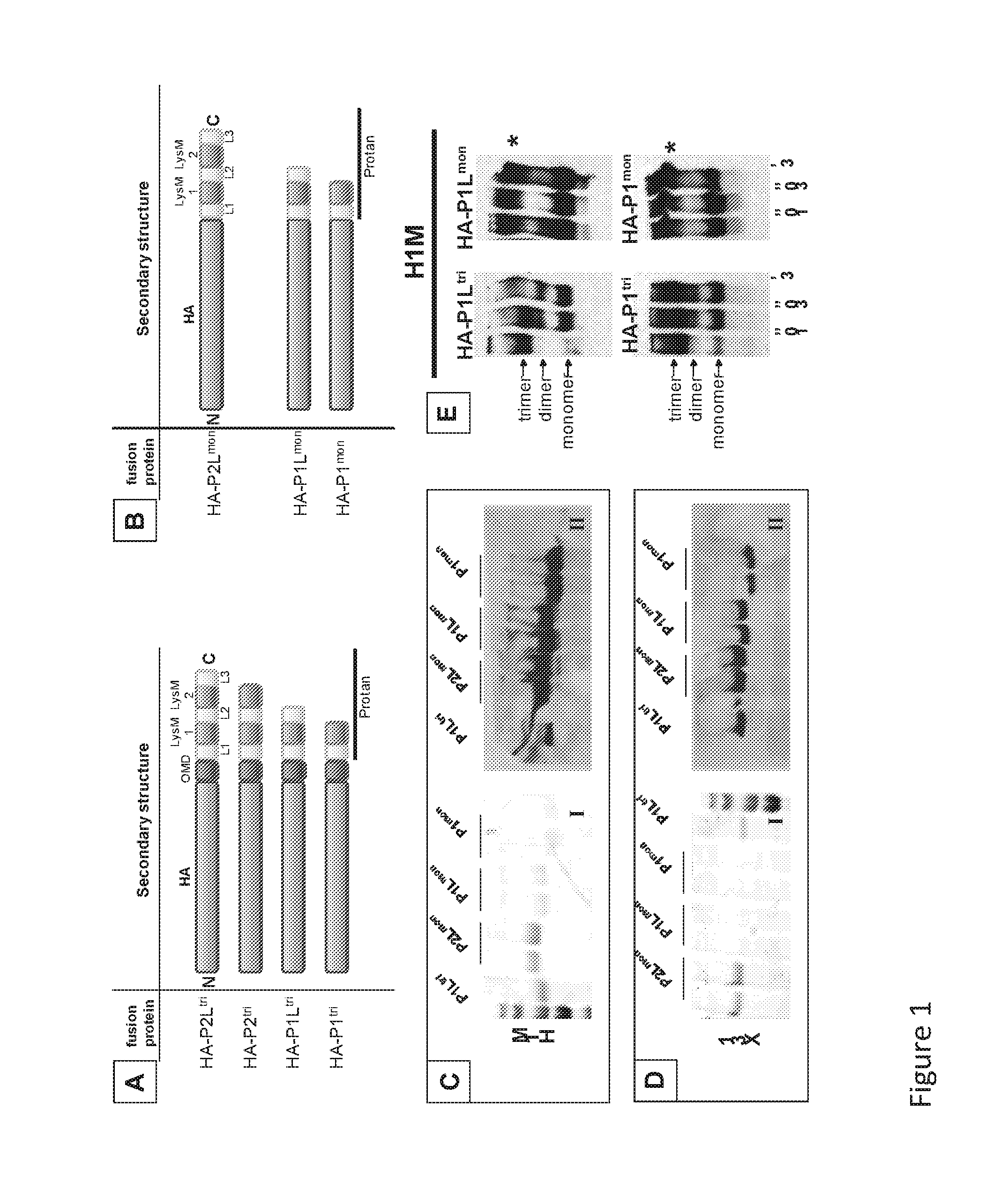 Immunogenic compositions in particulate form and methods for producing the same