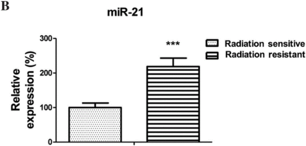 Inhibitor for HIF-1alpha relevant to non-small cell lung cancer radiotherapy