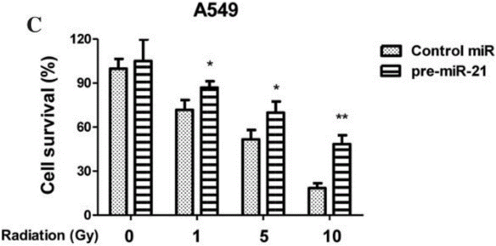 Inhibitor for HIF-1alpha relevant to non-small cell lung cancer radiotherapy