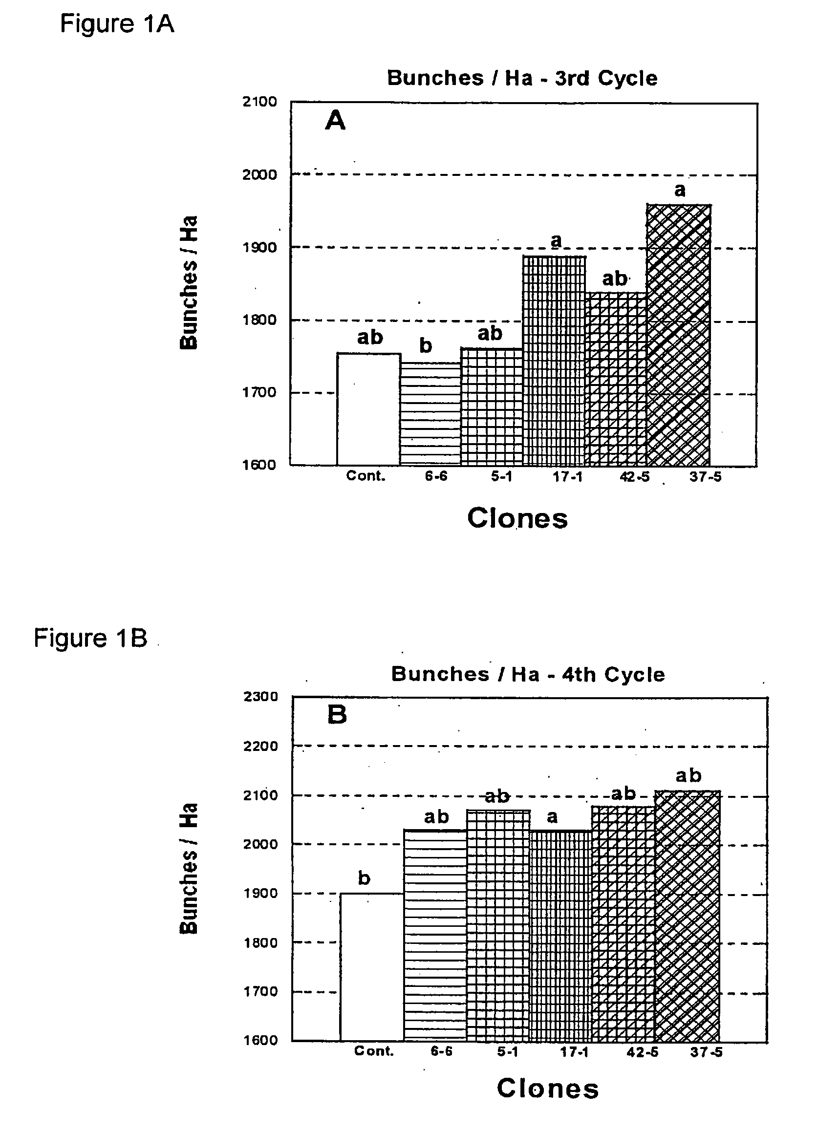 Process for selecting banana clones and banana clones obtained thereby