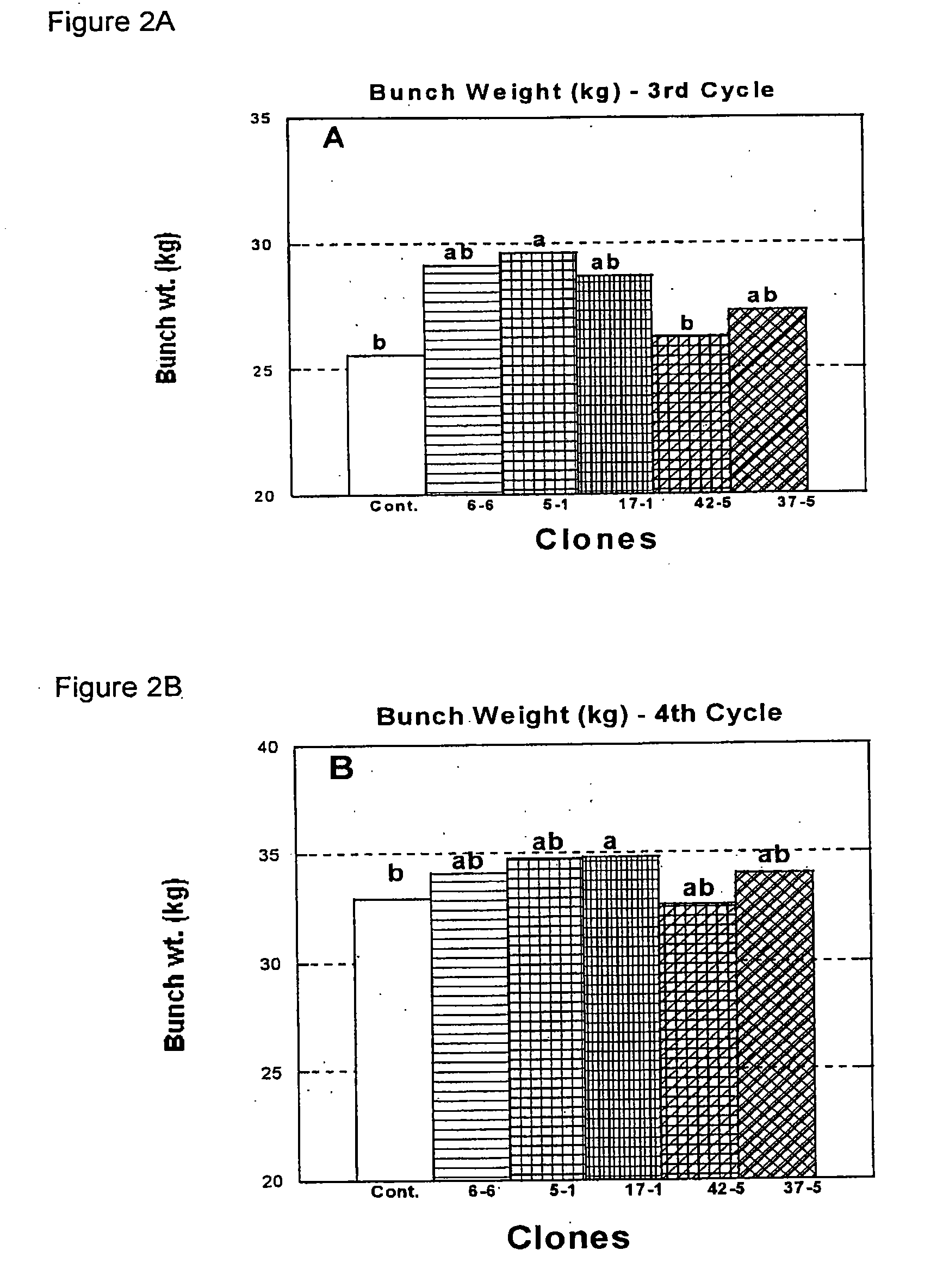 Process for selecting banana clones and banana clones obtained thereby