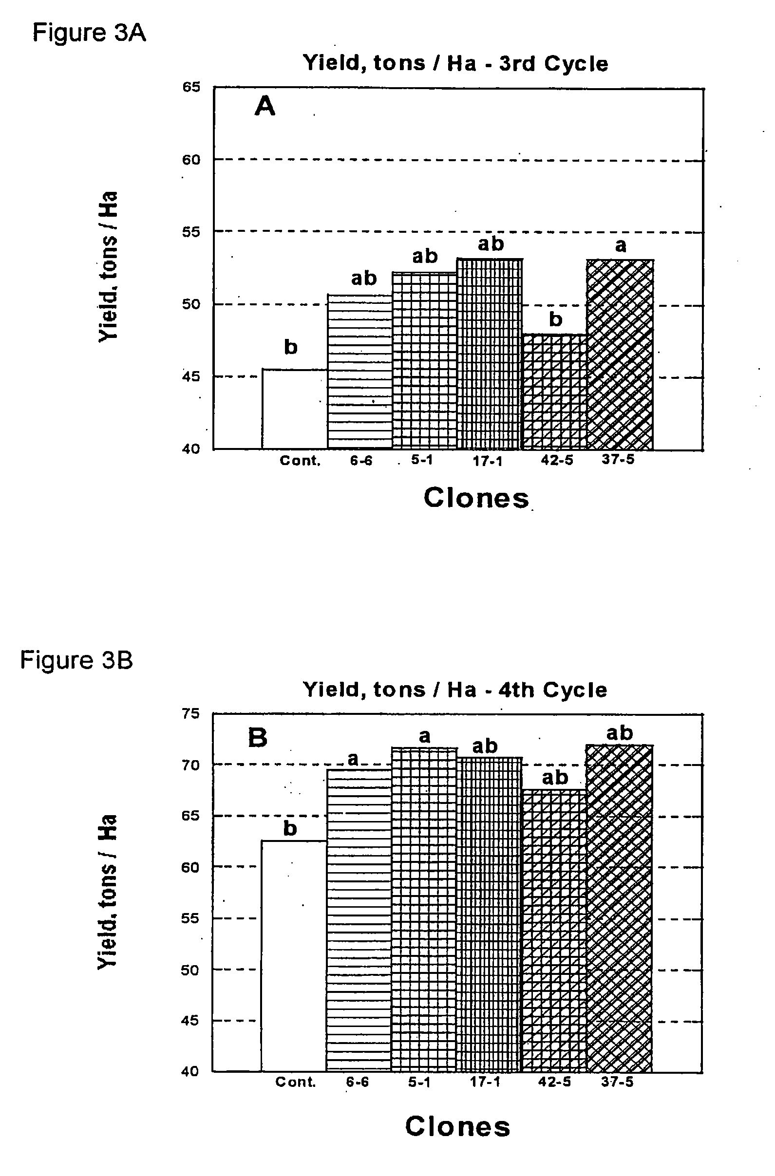 Process for selecting banana clones and banana clones obtained thereby