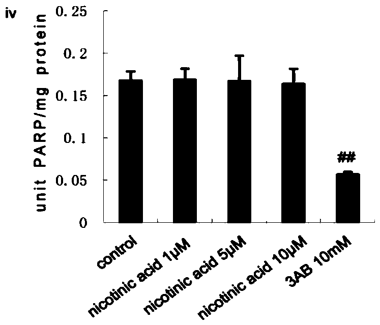 Use of T0901317 as a PARP1 inhibitor