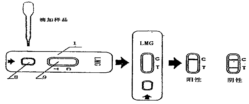 Concealed malachite green gold mark detection test paper box and method for making same