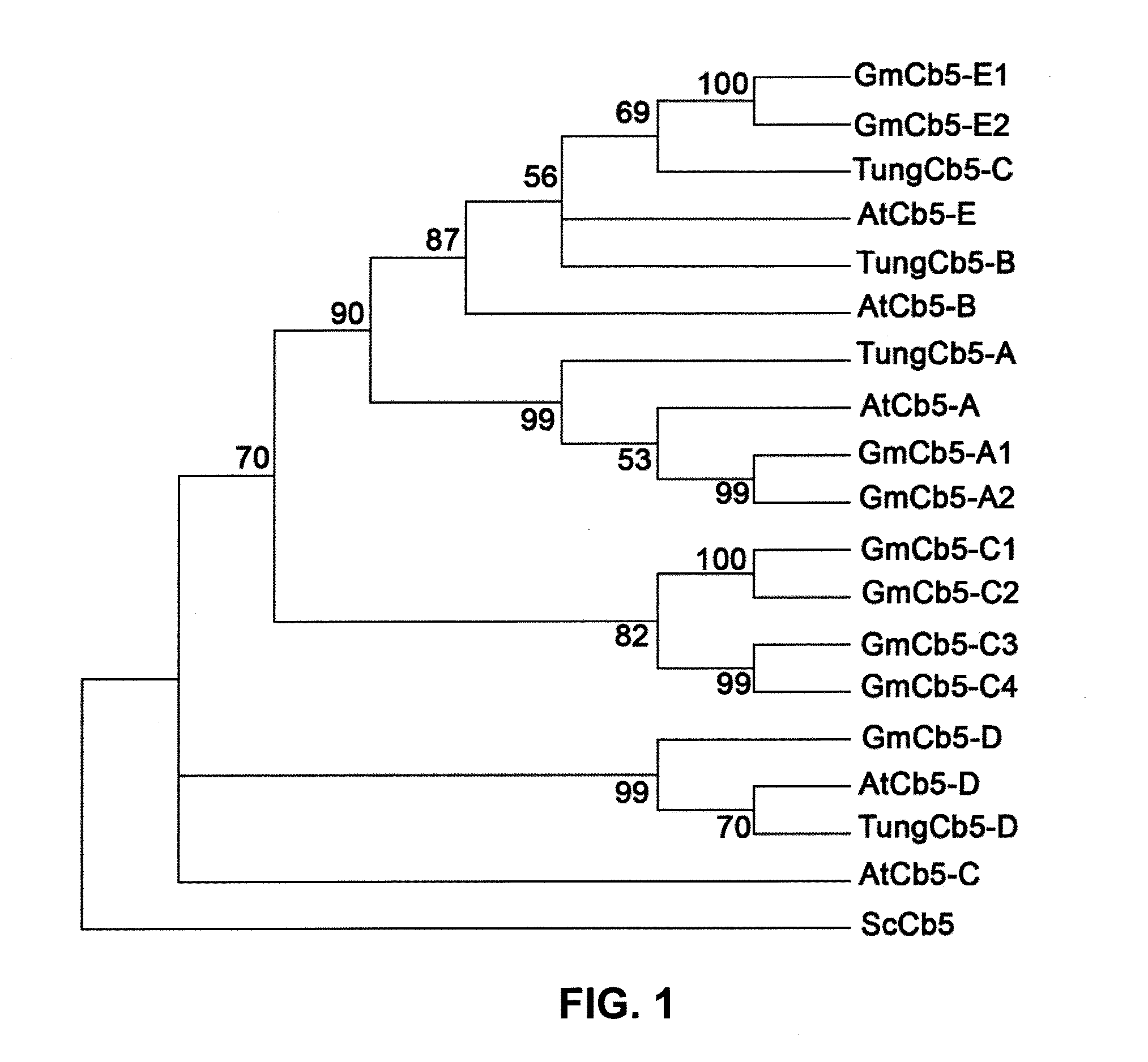 Plant Genes Associated With Seed Oil Content And Methods Of Their Use