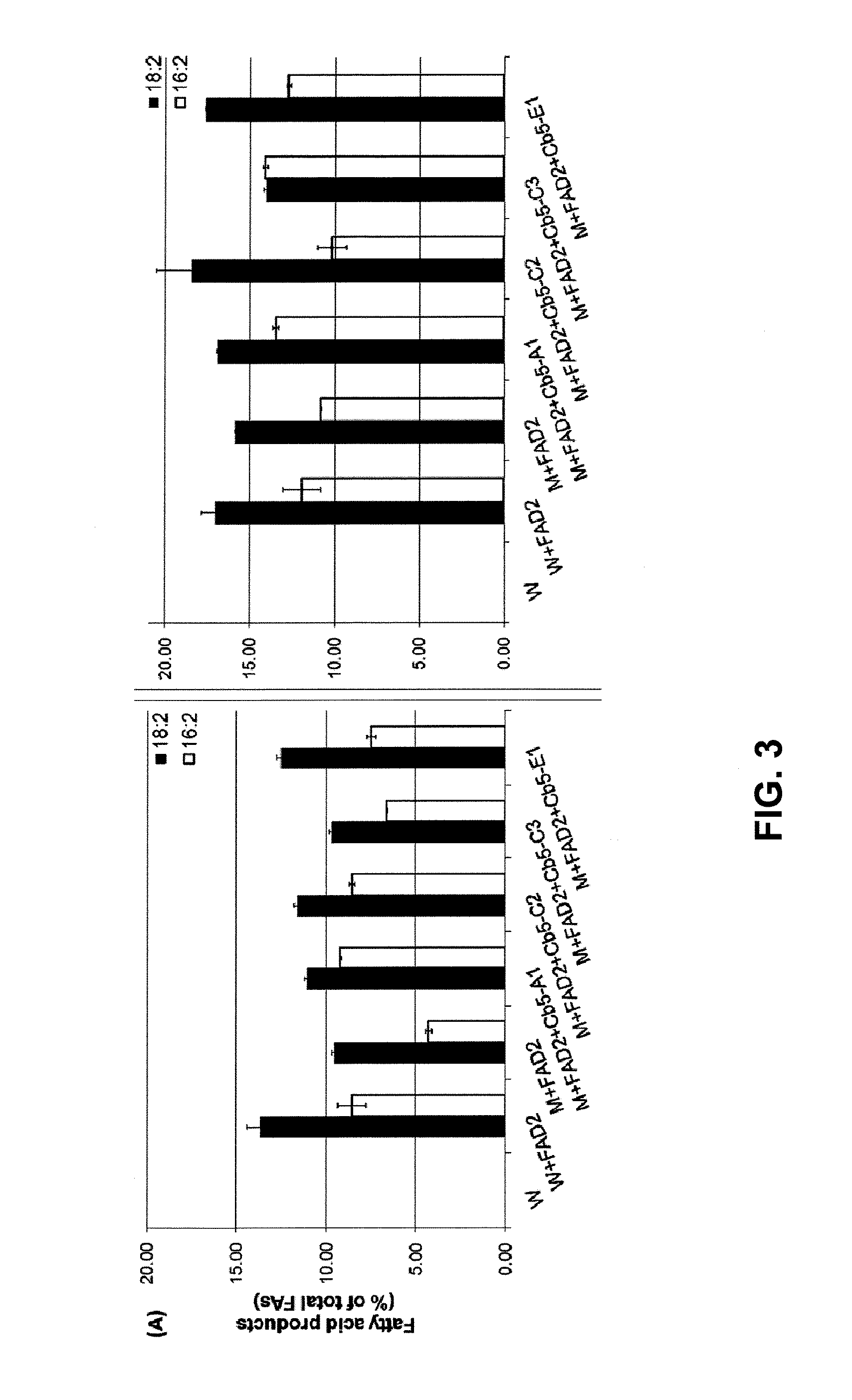 Plant Genes Associated With Seed Oil Content And Methods Of Their Use