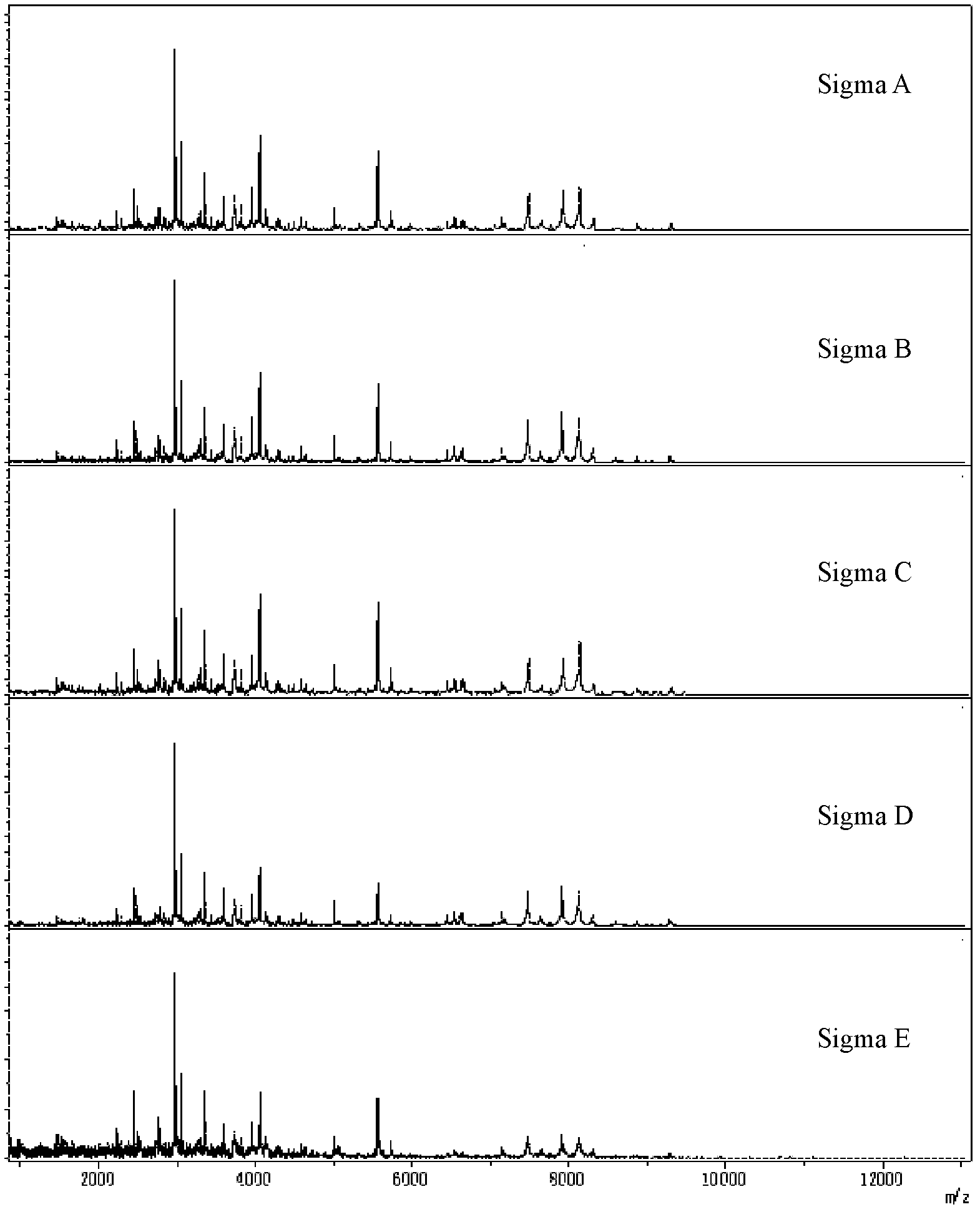 Mass spectrum model for detecting proteins of lung cancer and construction method thereof
