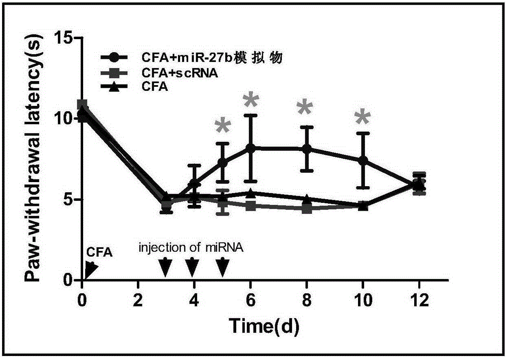 Use of mir-27b compound as marker of chronic pain and use in preparation of medicine for treating chronic pain
