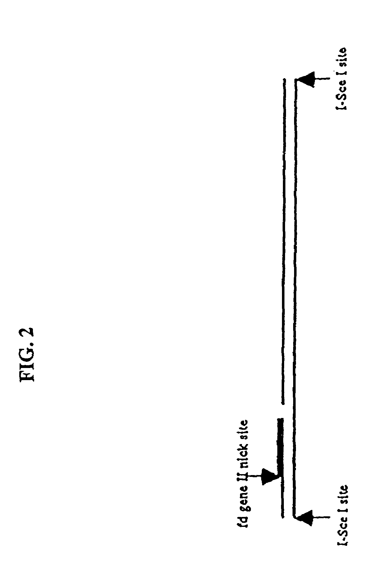 Compositions and methods for analysis of nucleic acids