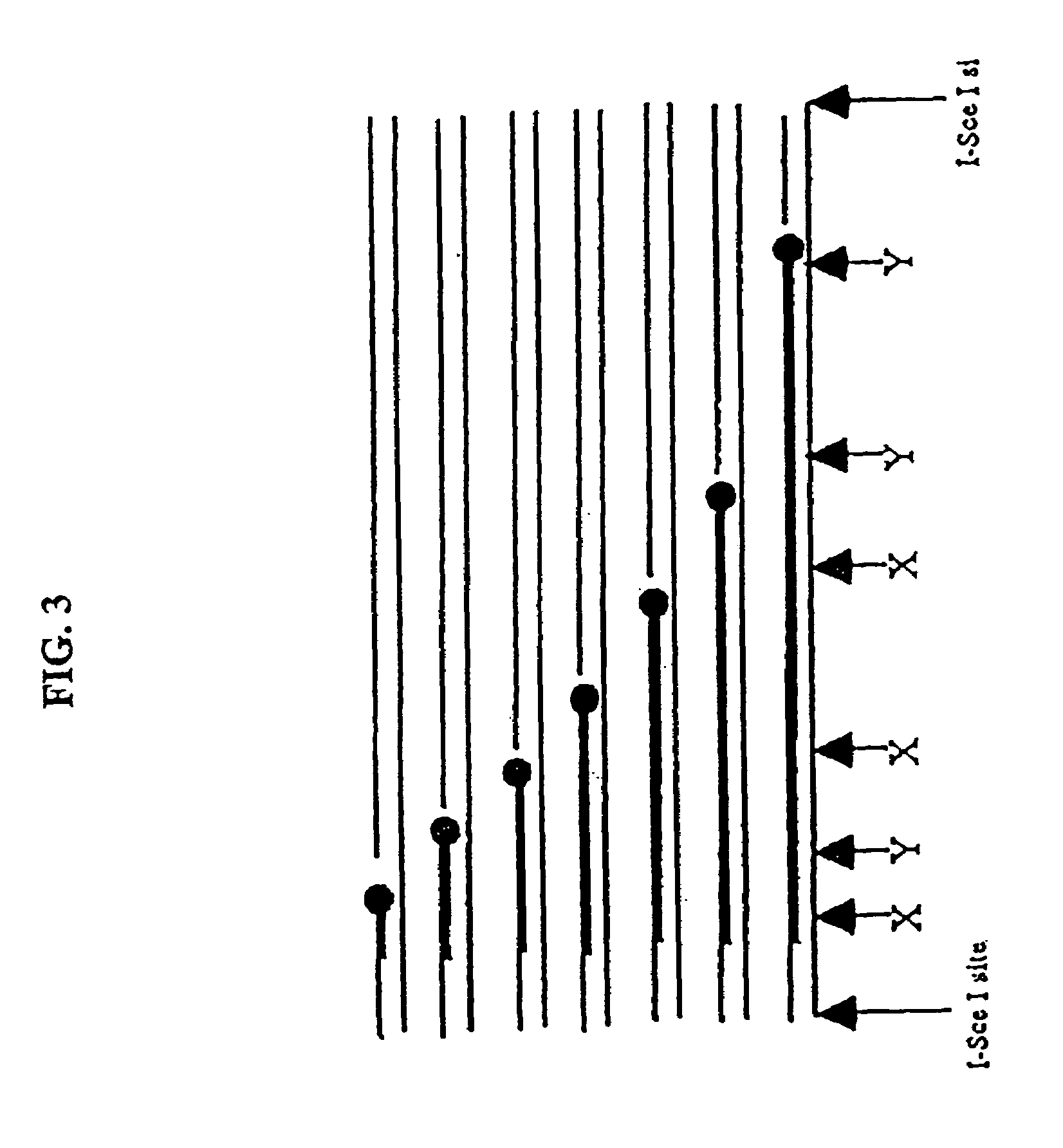 Compositions and methods for analysis of nucleic acids