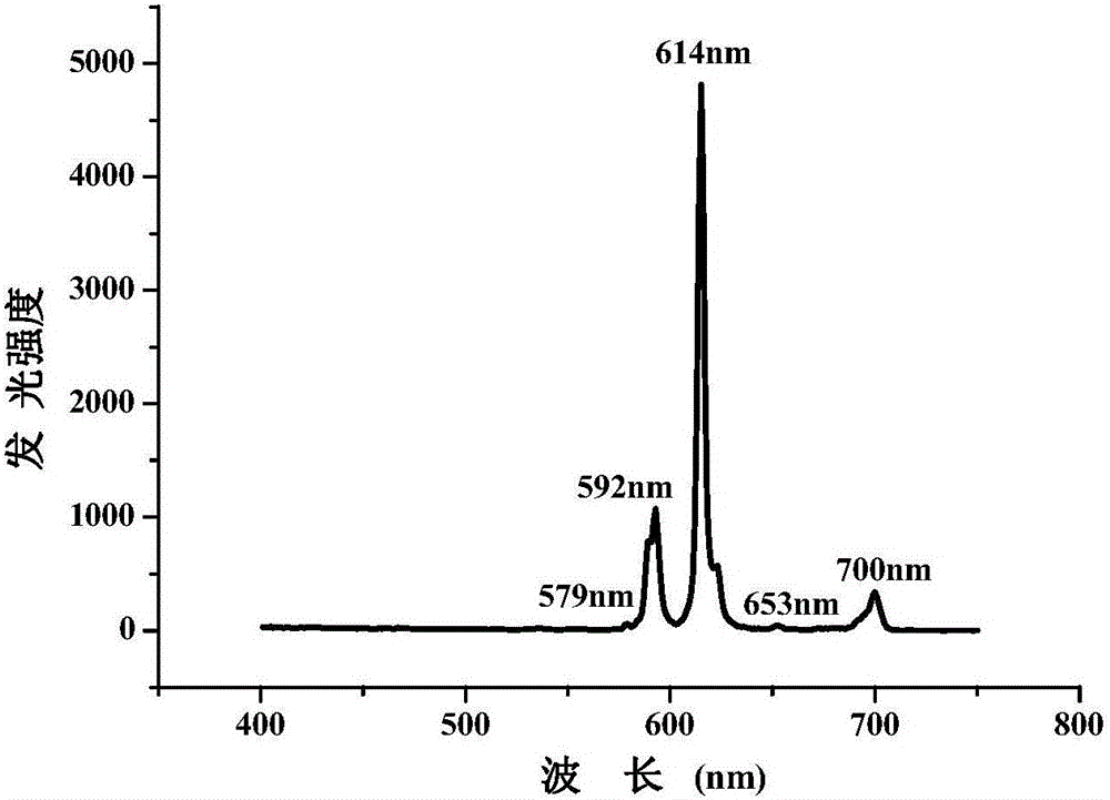 Application of europium fluorescent probe based on terephthalic acid in aniline detection