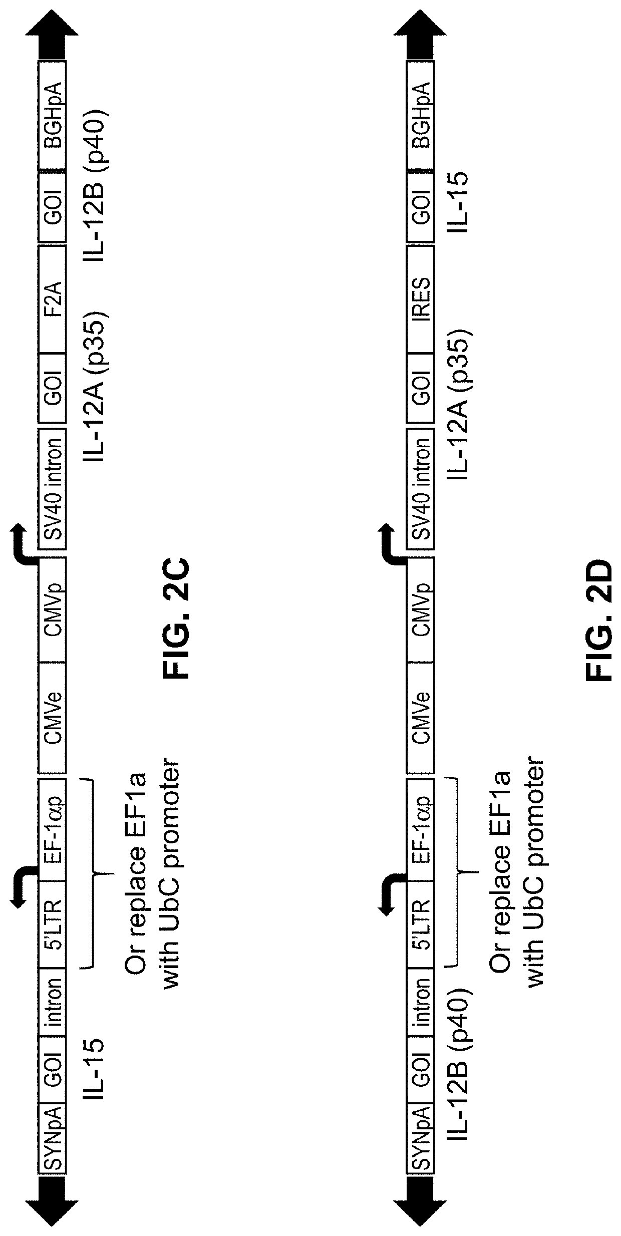 Viral vector constructs for delivery of nucleic acids encoding cytokines and uses thereof for treating cancer