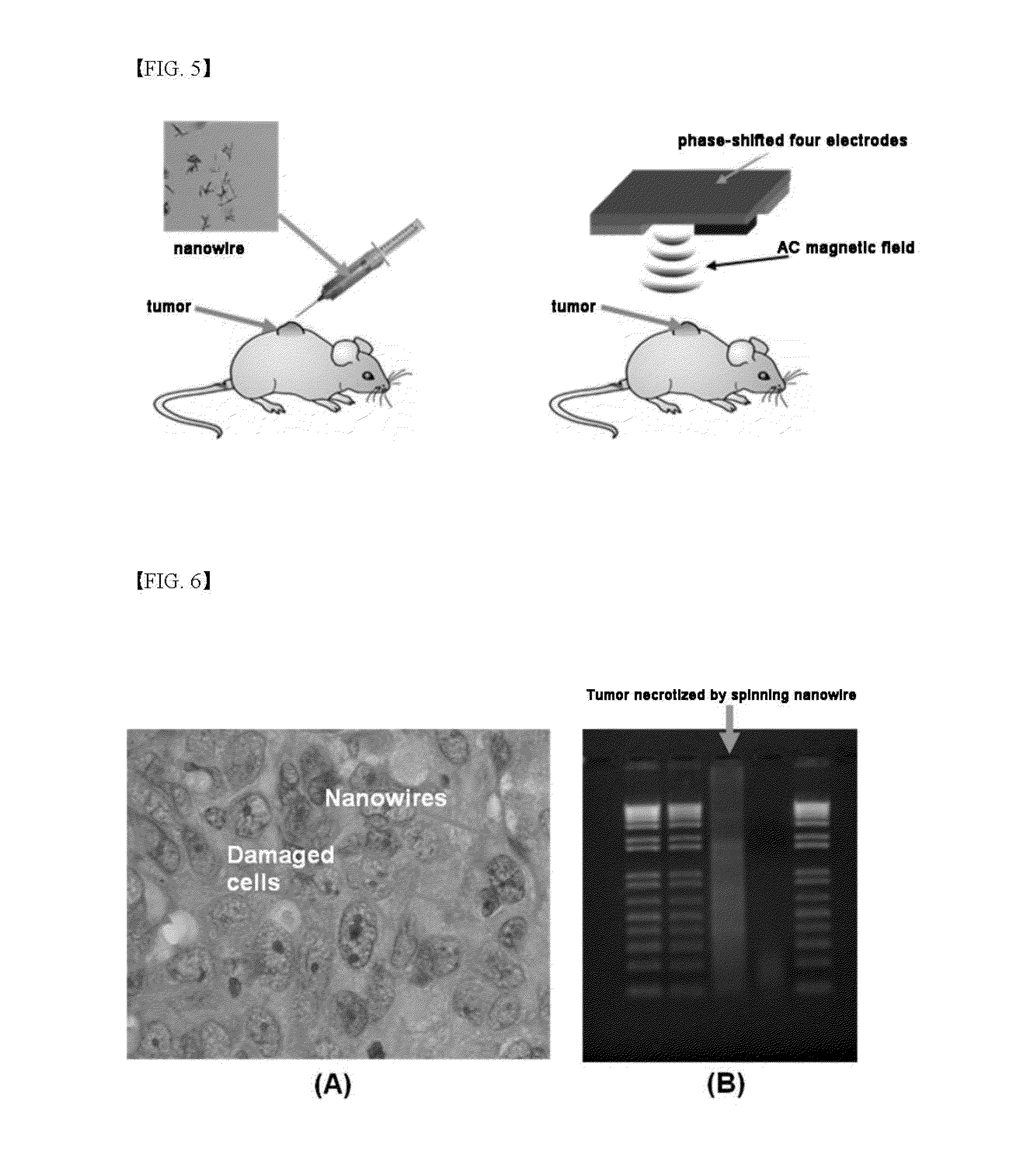 Spinning nanowires and method for inducing cell eradication using same