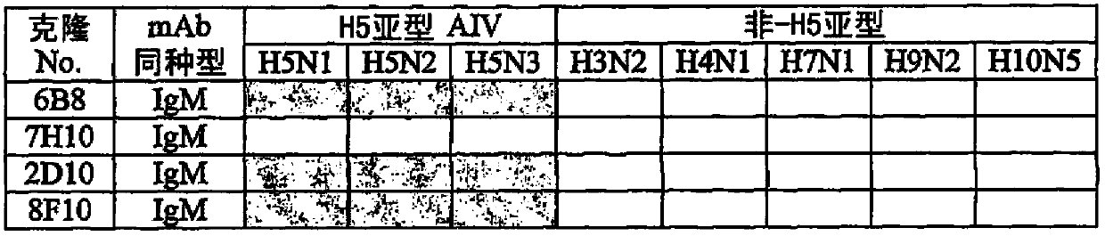 H5 subtype specific binding protein capable of diagnosing and monitoring H5 avian influenza