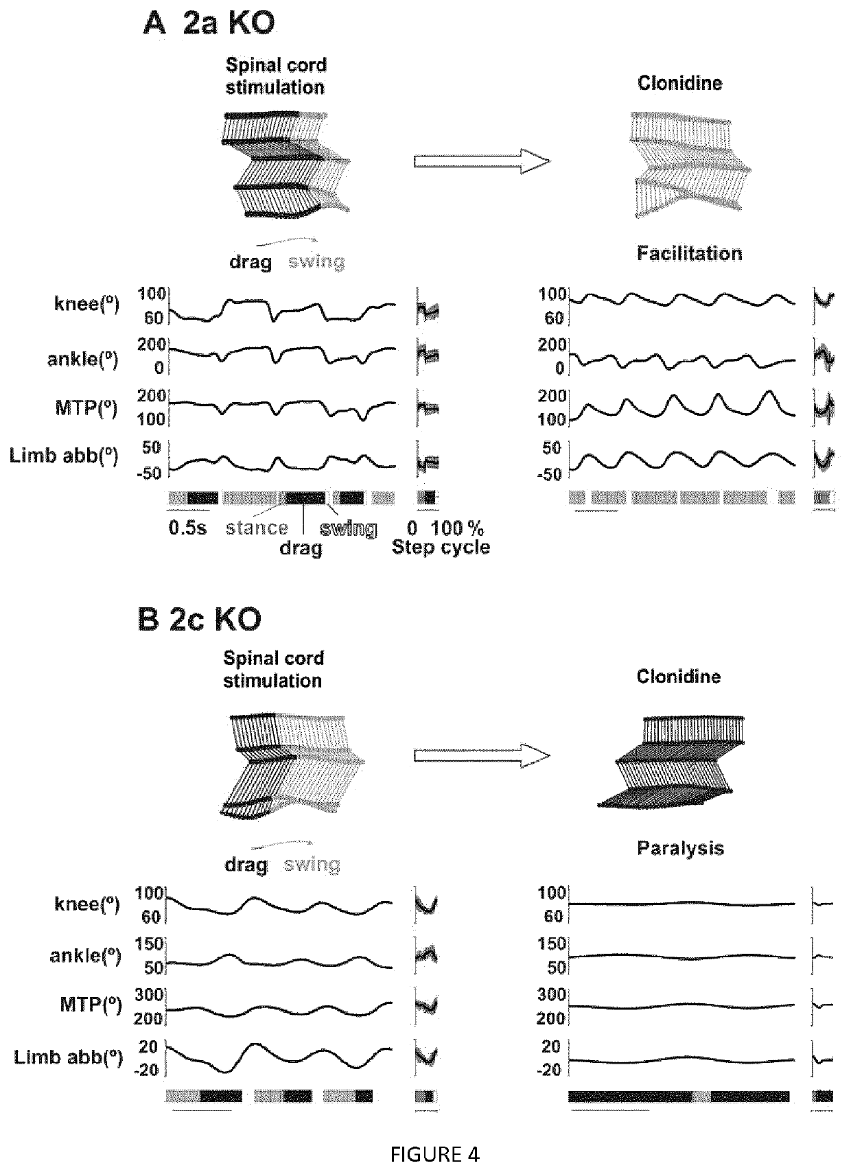 Pharmacological stimulation to facilitate and restore standing and walking functions in spinal cord motor disorders