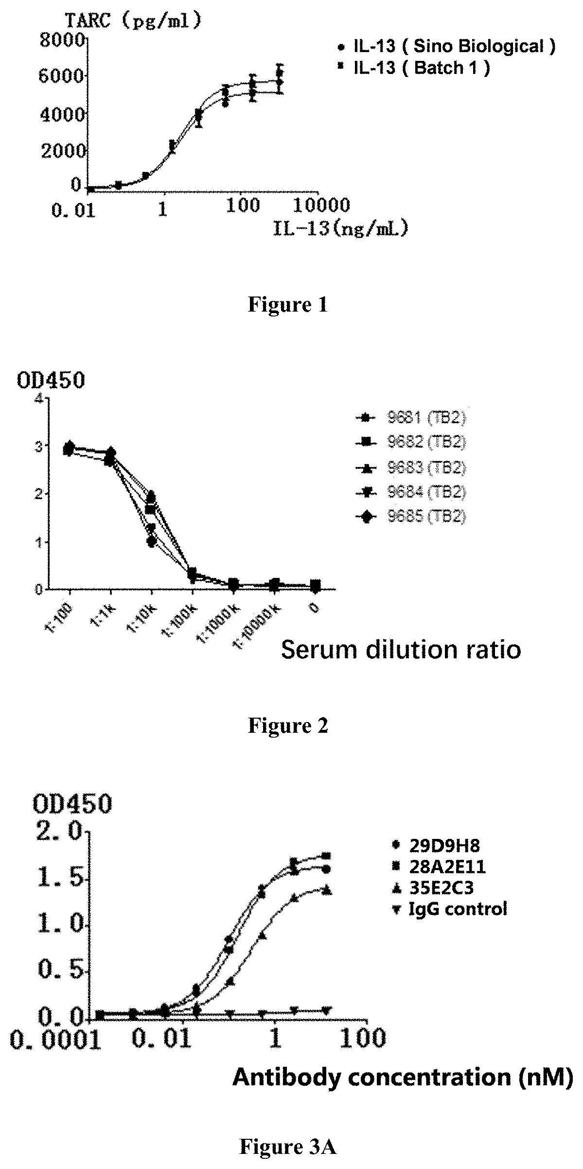 IL-13 antibody and preparation method and use thereof