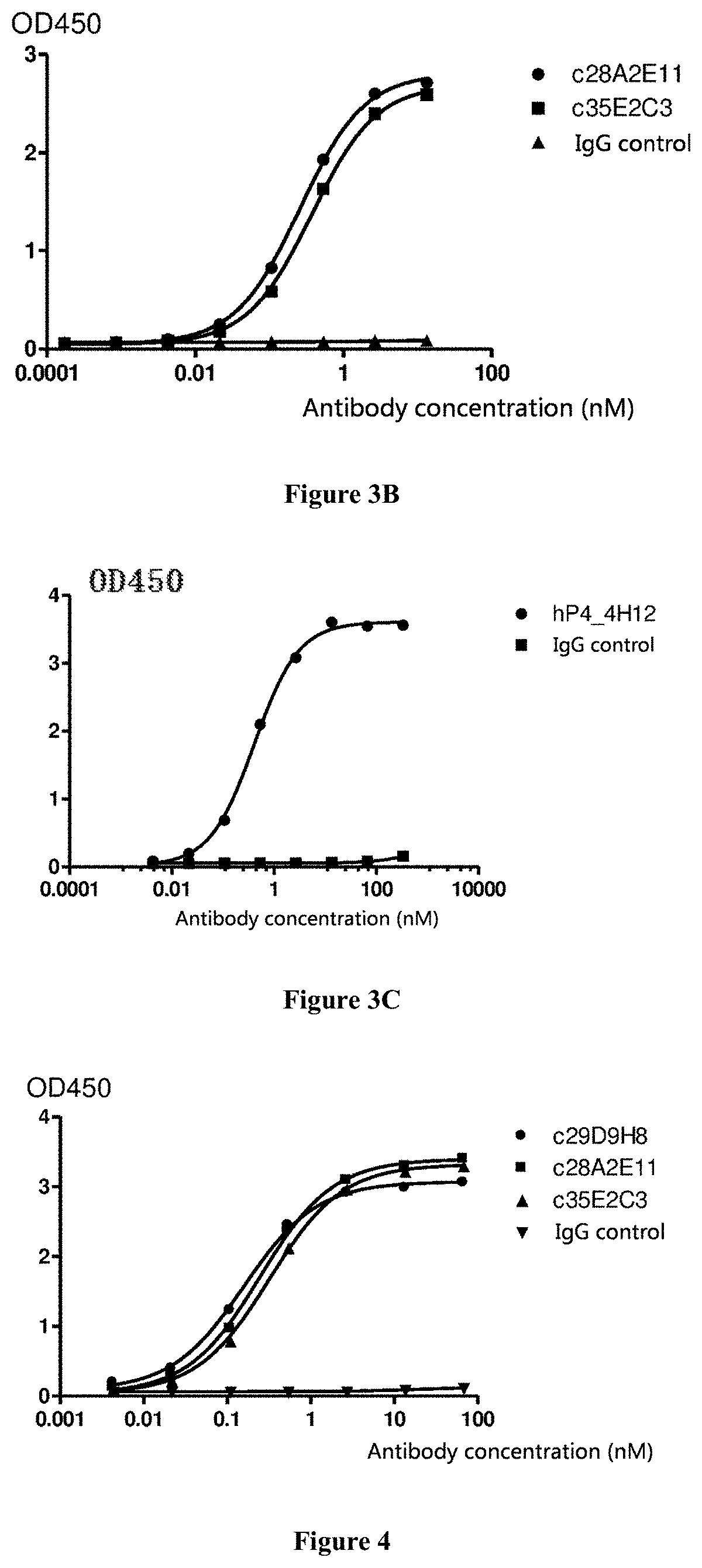 IL-13 antibody and preparation method and use thereof