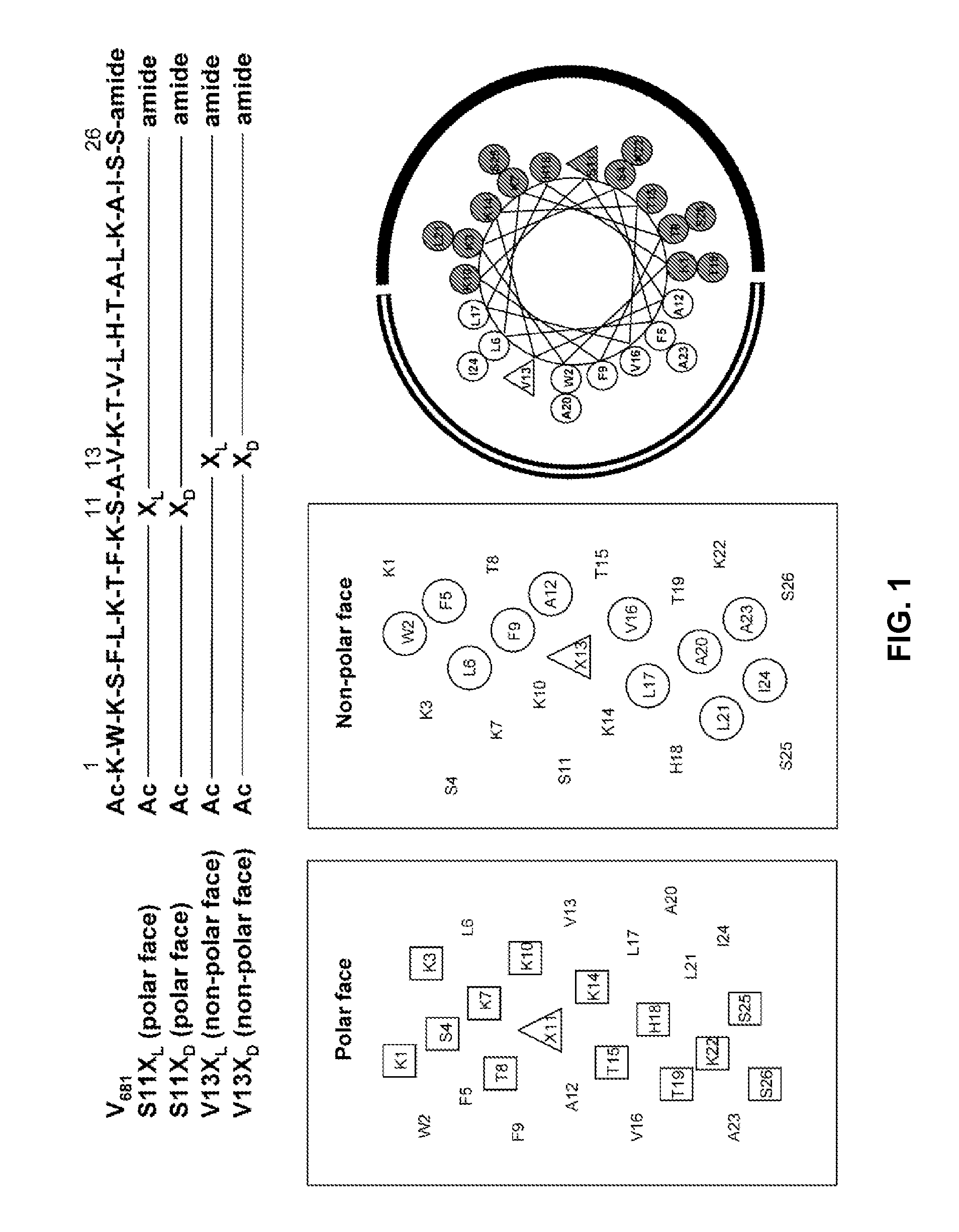 Antimicrobial Peptides and Methods of Use